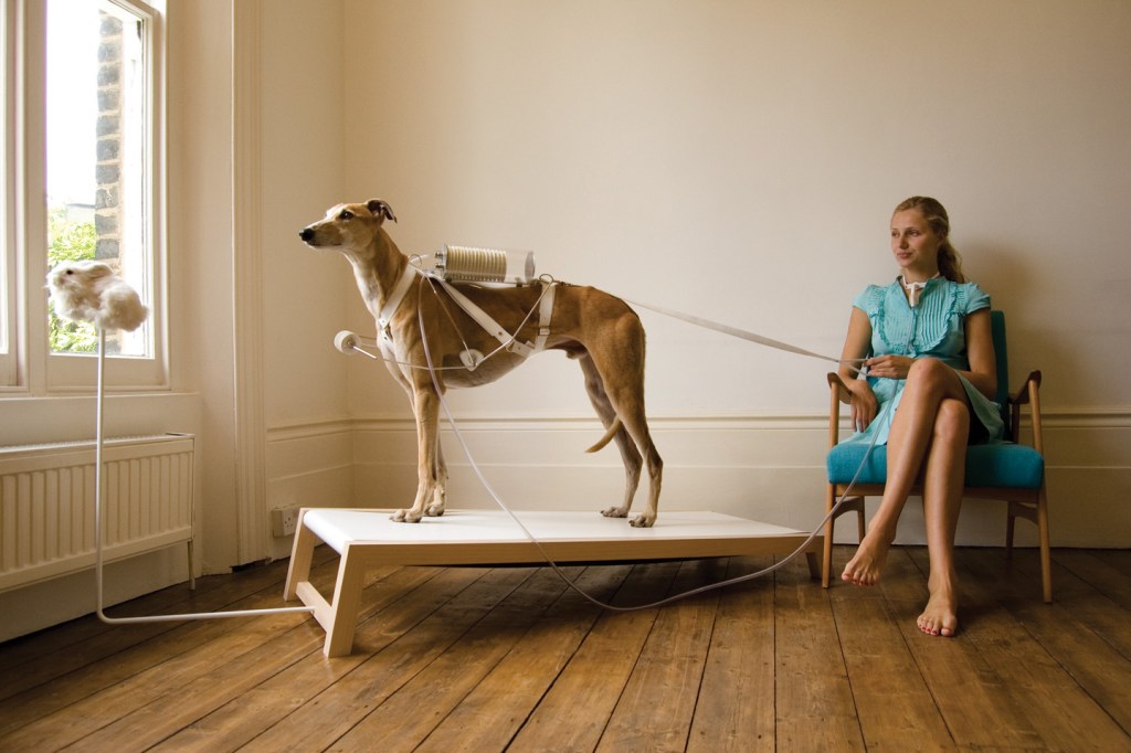 Life Support, a project by Revital Cohen and Tuur Van Balen that propose using animals as life-extending machines